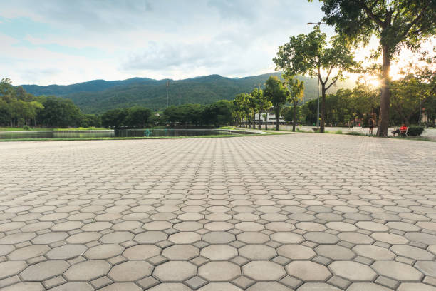 Best Concrete Paver Driveway  in Zuni Pueblo, NM